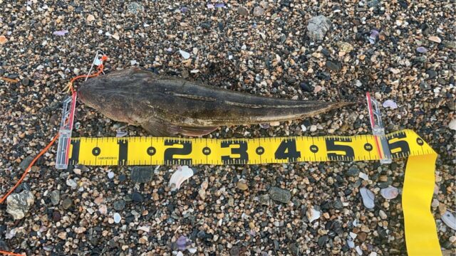 S0snLJzcQIHjzA9Fe9bbgMHbd8x6qthKN3m96HGrhB0S9JnYdcpe_hqcnK-hGQpTJWqugIYncLLuTnlB1NjA8VjKdGDspgqJeEbEB4qJTLpgOw-29BGy0z846g362yUMPGAWgRoNfwFFSQkqTkXAuA==