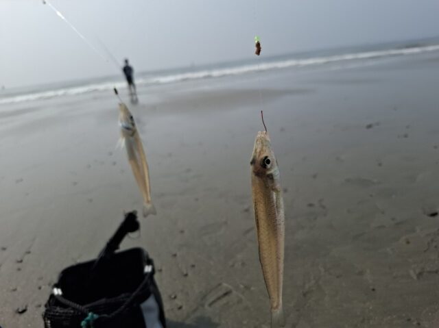 Screenshot_20250825_125131_Photos~2