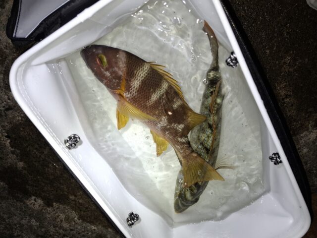 Screenshot_20250829_121846_Photos~2