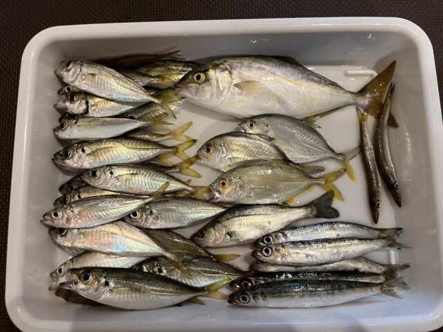 WkFvHLrOHTxCK1GTLtZJtUtmuX-4DlkG3NV70BrWZ_nzdV3PkDF9tIdBdp_DJLt5eW7LvjrGH70bcv3hih9Q3pkKGfy6FGTpGovLyB38JANwV7lZsJ72LLB9M3VHaTV4QQq1-WG3eFy_I7uXKcbEYg==