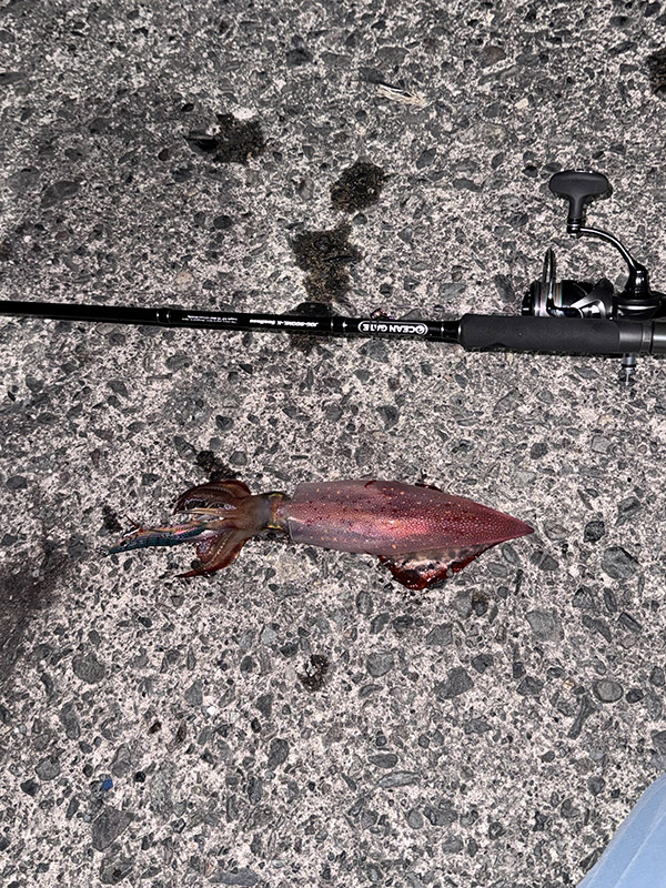 8月26日-たかしゃん様