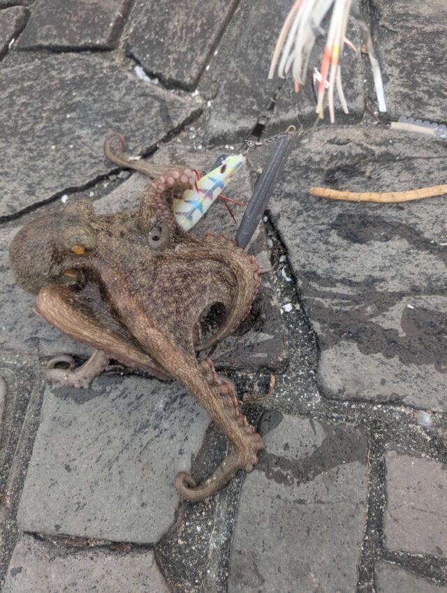 dTyDyrJzWlsIqftmiGENYHalko8n2GvcUymK82n0UDmkezfRz-WNPl74U42hT7G-e5GyfCuFIV-J9qPhl_LexdguEOZGkeScu75VZMVCJT7N5erNxv5kw9E3YSv2Z6EwOObrIXWDvj3wvVZWXR7TOg==