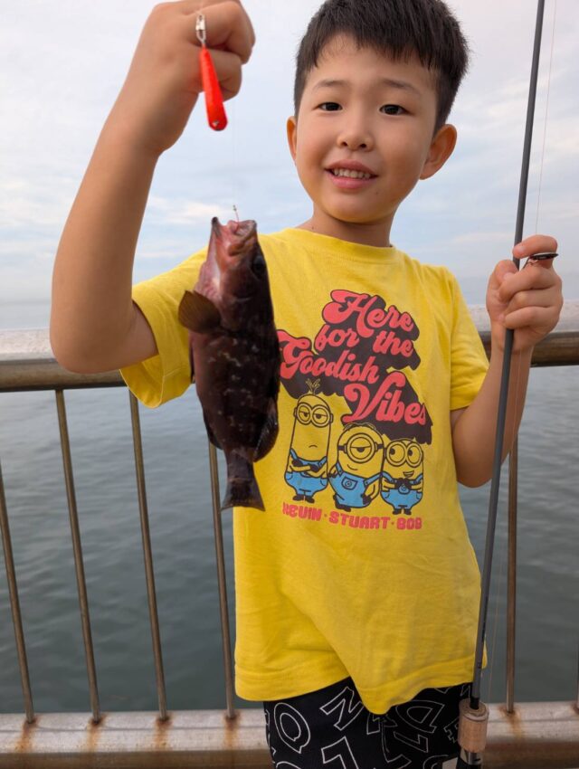 eu8v_09-u6hVeTx7e2Cru4GFyI_oN3BxWnMsv-jsl1J6vqunsob5NE7cLkI-3niMMKLeRi2TA1gmYF6efYT2N1fuykyzz1xNBkgy-j_uD38NjJu5Pt5cMIv0AjCcAZ-2dWH1GW1Hzzc1ZjJIrpDCnQ==