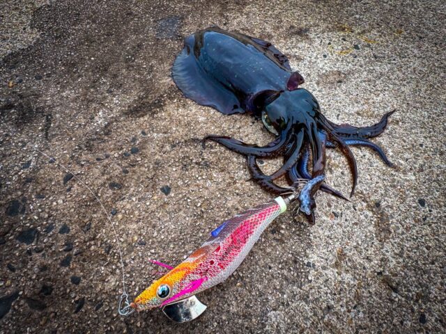 g9Vaxq6h0SFa6HK1auHblC_u11_fjfrJlazd0bj3UoHME0aIUpRtS_SudeI4fGbNg464fr-1ZABLeMa5Wd4GZsiM8tTKu1Zc43jFx_SsfKp2xkFxz4V39GI-7ysOW_NCkpngZXezwyv0UN-p8nCI8Q==