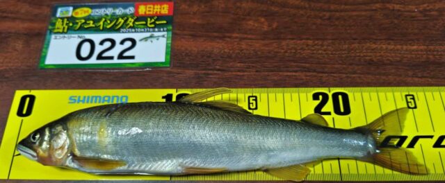 gEG_eWg3XVZHpjB6Vk9QHywibNxyMRyyEiQZzy8xUzurIgLDkUl6Br4h-KbFZIFG2Nb_Ng8mWhRHQ688_fMKf0J1mjz2HweVGLDlWccmtq31D0bDcmCMaQGHaj6a6zFi-Y6RmCFYWj9R9NUu3GhWkQ==