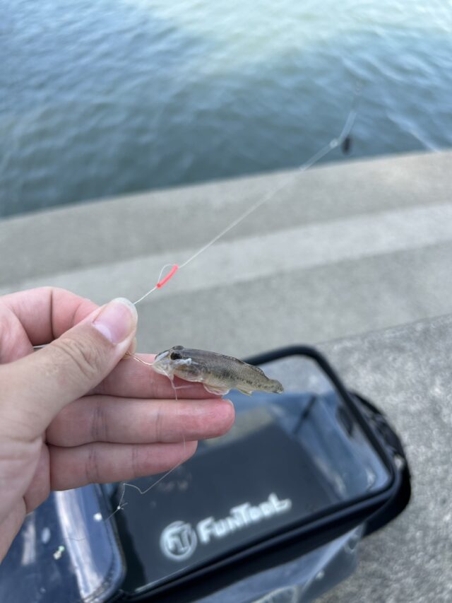 hR40sLUyZSV_4VMuPzX7p9qh7d6aDpaIs379JXm2npohWYLN07sp63Rwqa8YRjwFScxcAsyaBZ60ExQyxFAFZdNOQP6rH_1E-UVZnelQ-3Eq3JP8hcAljA6yj6B46vHCkCPUNF5rJUTpUxwFl42Qjw==