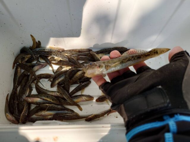 lieVnK1hH1SBg85HiPmo3xXgA0m5dc_pb_FgIUhLVL7bhWQu-0x7XA2sAGucTPK2EsdVxcvYIFJ3zl8LZ3-p9vzJIeTKdizP6mhgfyD1Yf7e7Z2HuMTFXLdwosUuBVBxCPs1Dl06N9VAVlxHgFo47A==