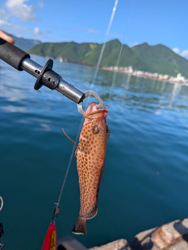 line_oa_chat_250801_145625_group_4