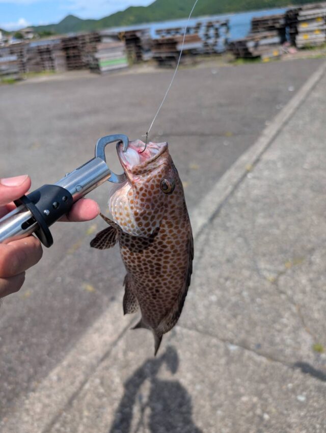 line_oa_chat_250801_145625_group_5