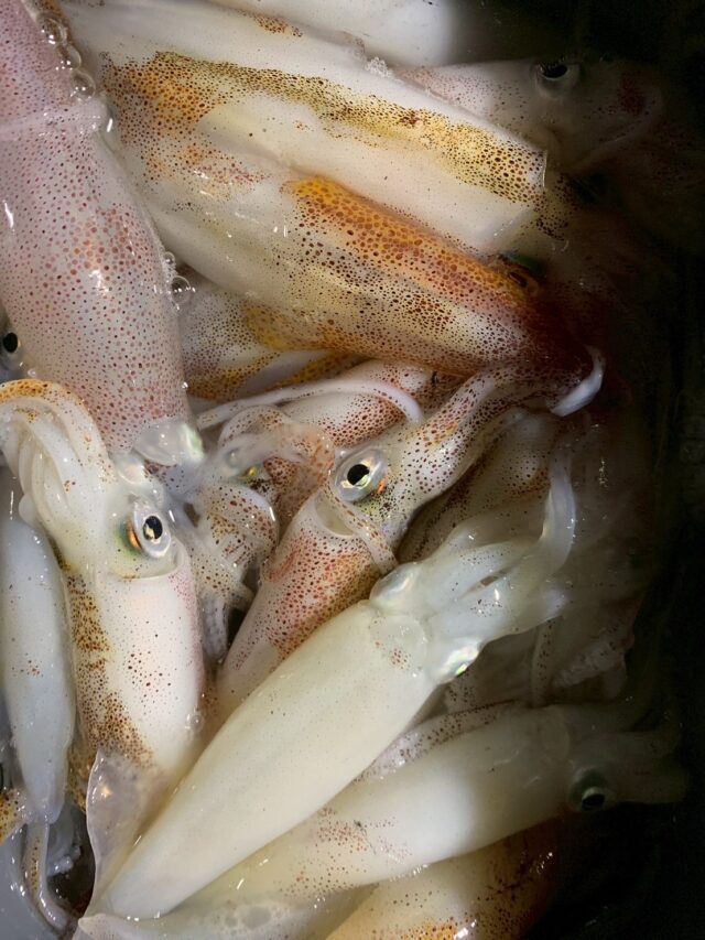 line_oa_chat_250805_103342