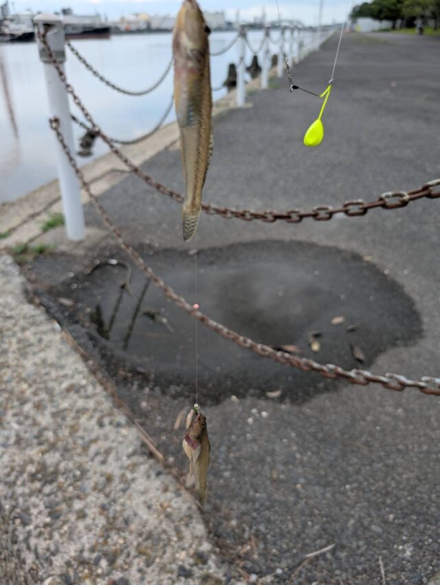 line_oa_chat_250818_135442