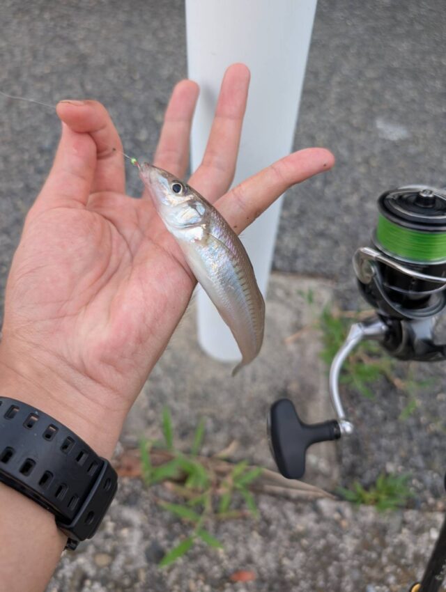 line_oa_chat_250818_135447