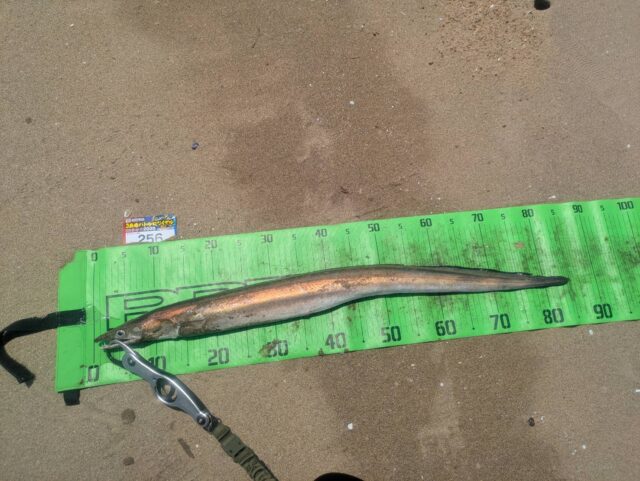 line_oa_chat_250821_120237