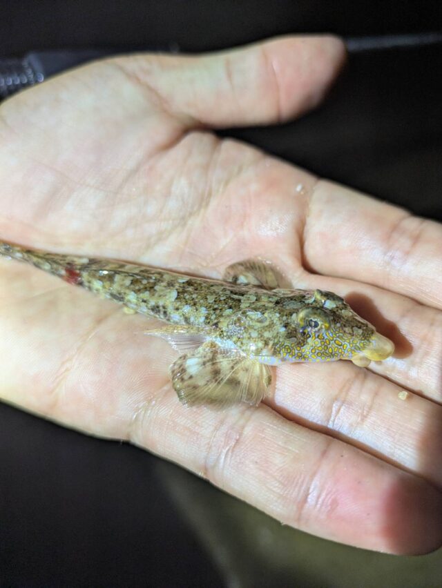 line_oa_chat_250821_125925