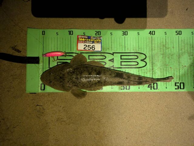 line_oa_chat_250821_151125