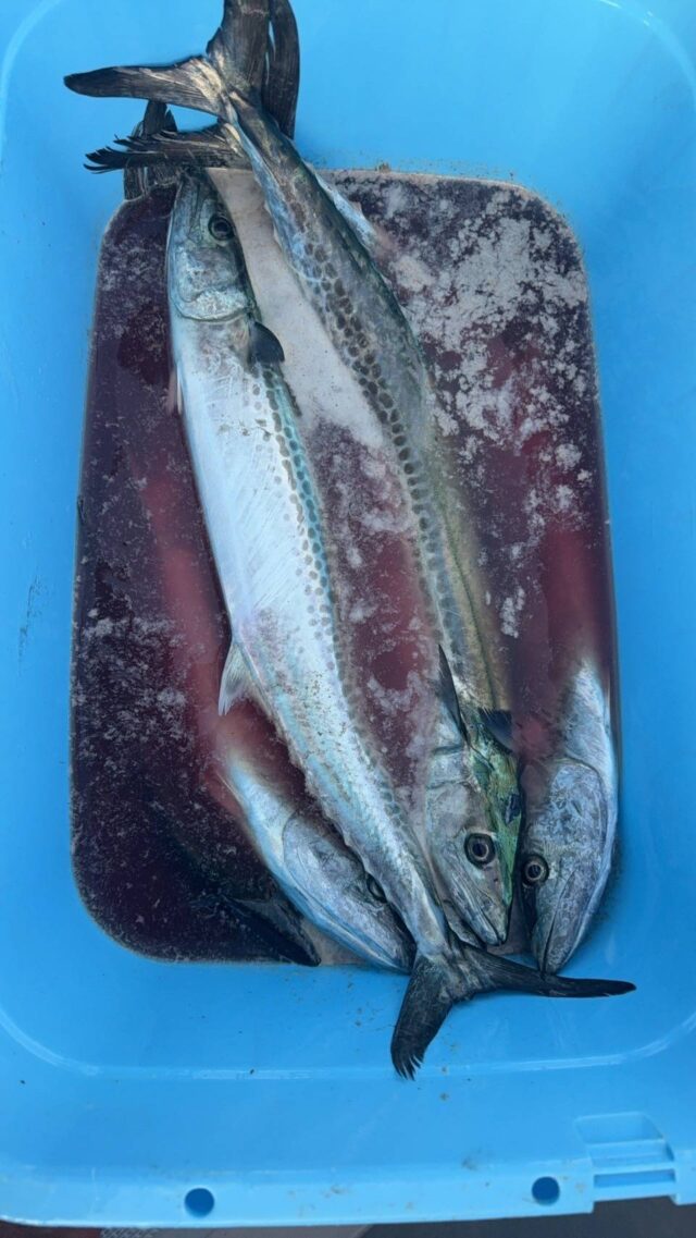 line_oa_chat_250821_152314