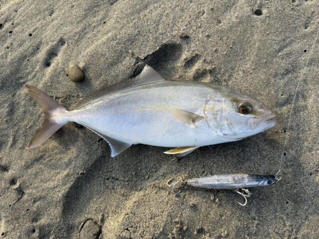 line_oa_chat_250826_191154