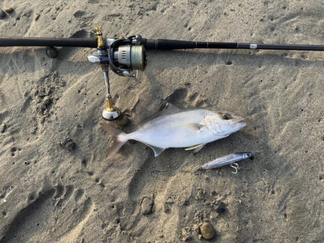 line_oa_chat_250826_191201