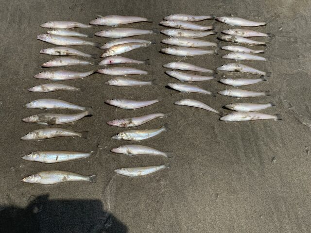 line_oa_chat_250826_192116