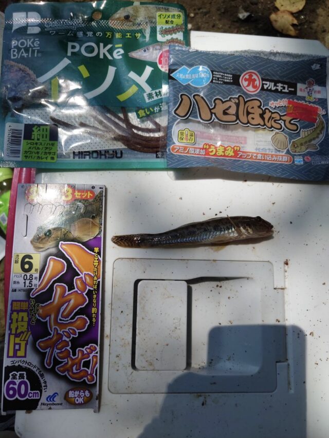 line_oa_chat_250826_192527