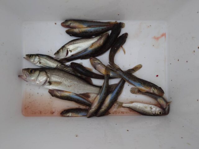 pJVm0lcVuMLZVqcttPvnU1LoECaH5XPrh_thKUnTDllzy2XhETAOjaWsDf49YRvITF_3wFTwEpMk7wS3L2uuV_zyx9scCxo5dcgGcRnmRIAhKi5LgQTuqLdRGziquJlYxjd32DvNFM_jZ_