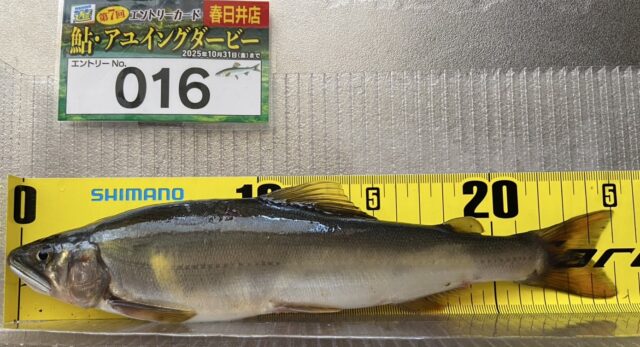 r0DWGgPWRuzm3-9Bj4qkiYiKHkrzsBPs6x1aYiQ7kXApi2VjiRkhhIaMi4ehGhDZqsB9DHeHlGgFzgbgjvuYuROPe9n1mimiYtD6bAESRWAhSYIPhiG1uRRFCL09cnn_r6fRbKROf4YksHppMo5QDQ==