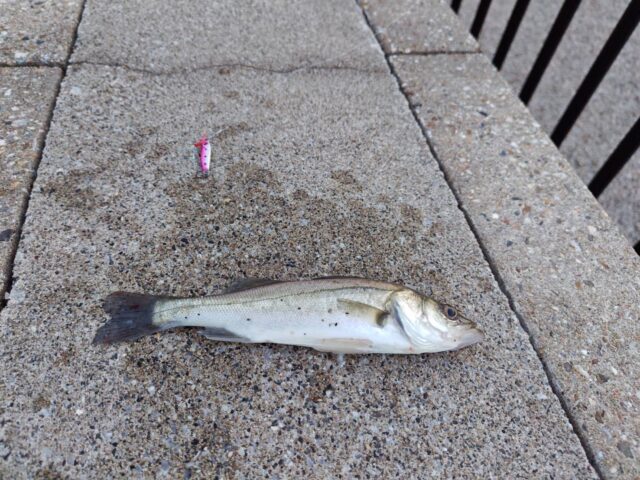 rbh7EG0drfrZBN1OIZInp5kGxG0e4iCqiW3oq0uk05e1-9I2LzrwlAFVSWvrLuTOPQrVWhZHsqIDcVncY3NJkkWlqyj6Q8Yr1pq1vQmgKLb3XP3hh8zej0w_L03e0BV9jgTjgTGATm1_gXXKFHhmhg==