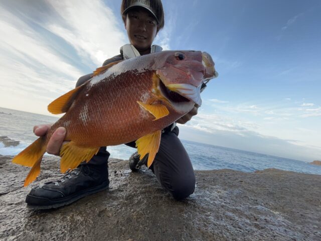 reE2k1omlFjhC2Rf-9wEpX1fDJ1fZXitSUAG4AfgZ9AGb7RLyvgqlflRtWbyjgxlbo2T-L9Zo7-GHsq6c-cSLDatoWg_5sJsmymCK9p0XcMM9hMopPlHZrt4kVNVBKhjdWH1GW1Hzzc1ZjJIrpDCnQ==