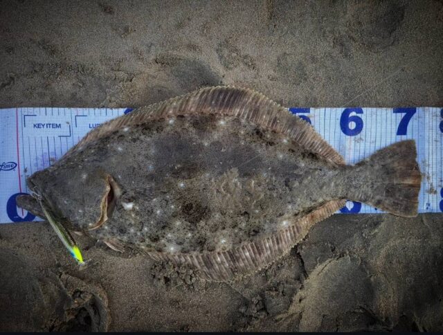 rk8IkEGdVbLE7gz8PFVcPX1hpjIawZ7WldGxDjkyWhZNeDmW-wrUryzi0lgUa2-j2kLmVjcCPvRzC2jy6_0gsxhKu6ZA3TC59FYM_OHXwSSP5P3XDrS9t2X5t8ebBYK5OObrIXWDvj3wvVZWXR7TOg