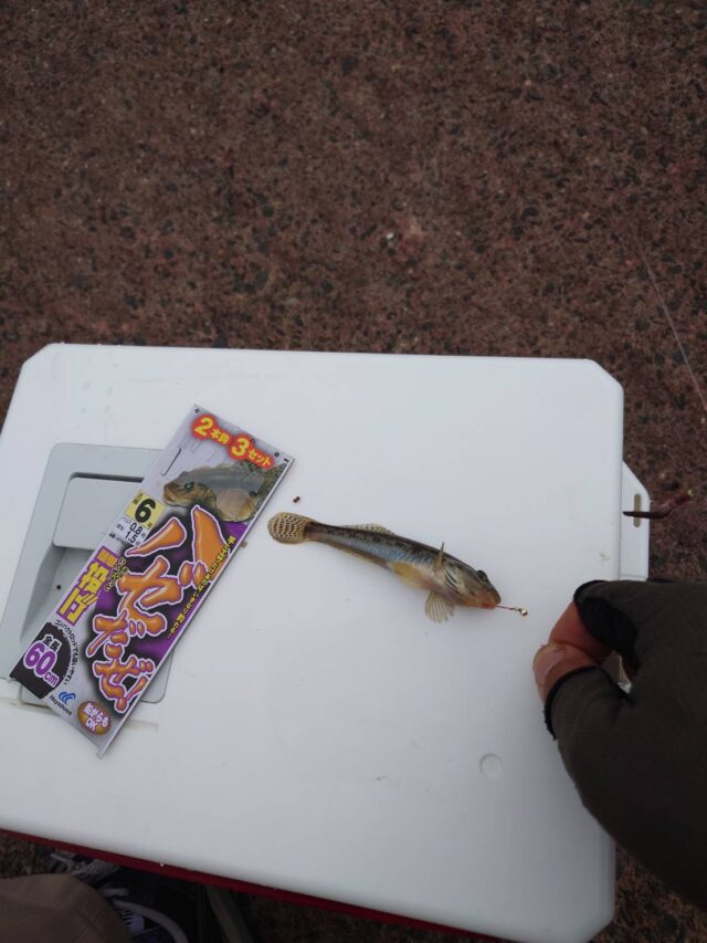 s1lXyz0Z4F2WVhflAdz0f9FItfYk36ELEB2d0V9kJcNuRjIgxi5rffEAulqrZkNAGhOEjs9tLYbVbmr_LQuXIel-meSAdIeSJl4WajygRQFSiue0ZJHcnP4z4wu_0XYpQQq1-WG3eFy_I7uXKcbEYg==