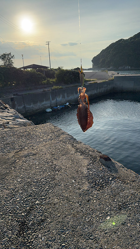 9月15日-ショピ様