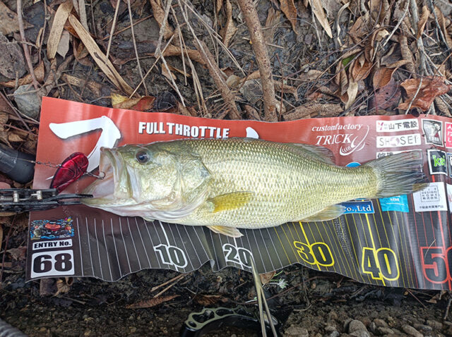 8月31日 板垣忠男様