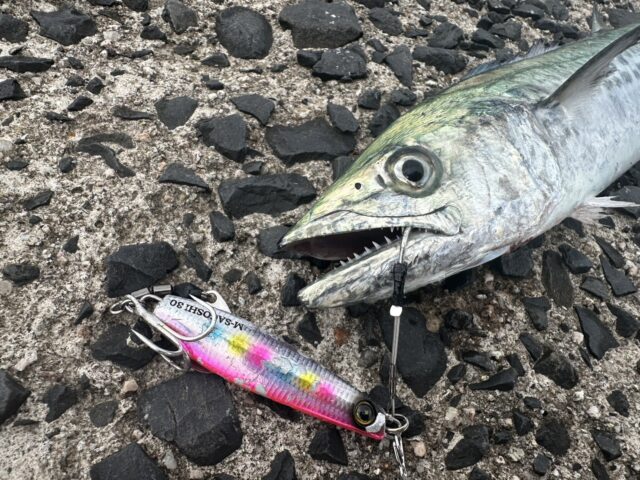 3tnT3CGEoMz_Z-qgK3r9r3F9sRmDNnxArp3d-H_mIfXuhaQYRMkoTmZnwm6sI0IK9pf3RGyHwby21HKeXM4pIVxTHABMSB2liKxnK4eml0offTohUKArVLYeOvVaAOeddWH1GW1Hzzc1ZjJIrpDCnQ==