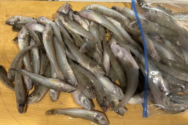 6wM-LOLheEWx7ZxGOZNJNuXlB5BLCMLkf5tXv2XVaTXhFJK3y655Q0arVauKQ_dXzlUIK4aldBmfLUxOPZkwNJh2kMVpiAk2auSlVlAdwUtrHjASHFurm_QKa0bJzbrUyoEYSNdl5TIBu65cFcBv0A==