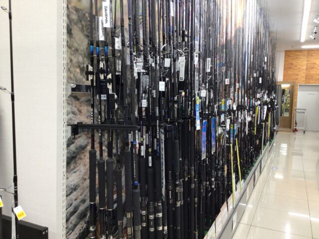 77C8D8D5-B4EB-4591-AAC4-EE9BD541E2ED