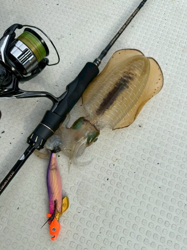 825F2F4C-E515-4303-8E5C-0CA222EE003F