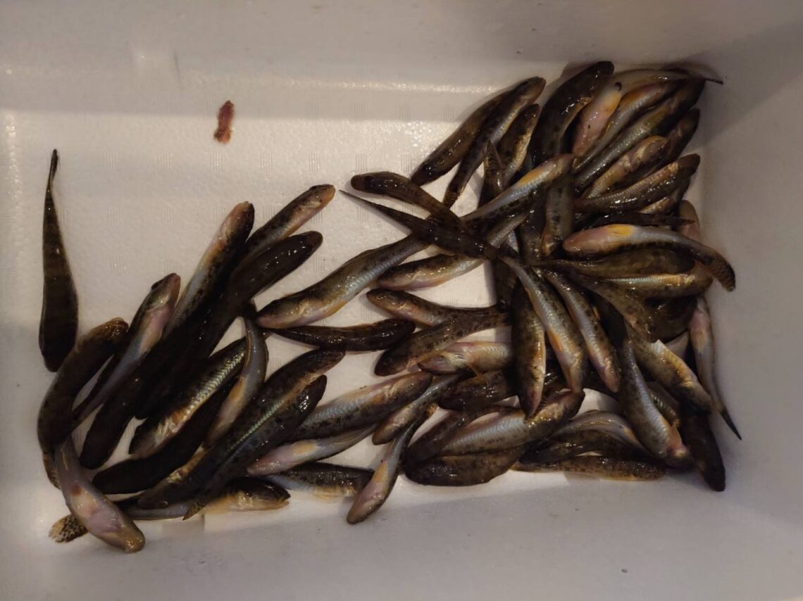 A-oKmakn-7ZgtW2ZHQQTX9aXcaVwpWtNLgj-Jx9aREqHXheX8kOcd_xhntqG_iqkiA4tAXiUjdGMfclYLiPC_soPlrErsBM9Ije2POUD2r0aOvha-6GErnpiYMFdJEQyCPs1Dl06N9VAVlx