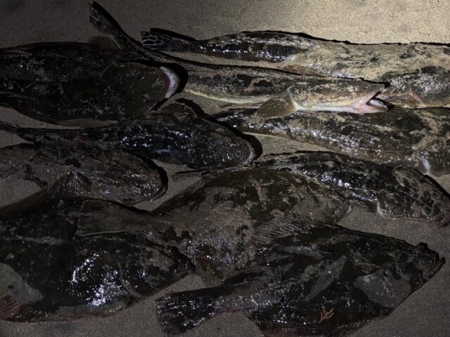 F62241DF-F21D-4955-AAD4-F20BEBC2650D