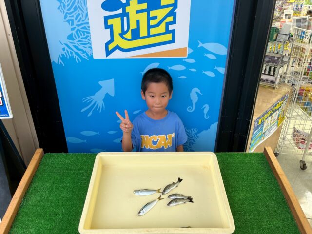 GUtOE85ssokaimGnHo-udQU6wQnis7namYiTY3wdWNPIb3lqGuf-eFECNkAgLRhs-0xcQZcJesUDg7bqF92K6aQPJ78jw9ZfSChuMVbQ-gAVDYdVep0-wWcxlPld81XYxjd32DvNFM_jZ_FnFQeU0g==