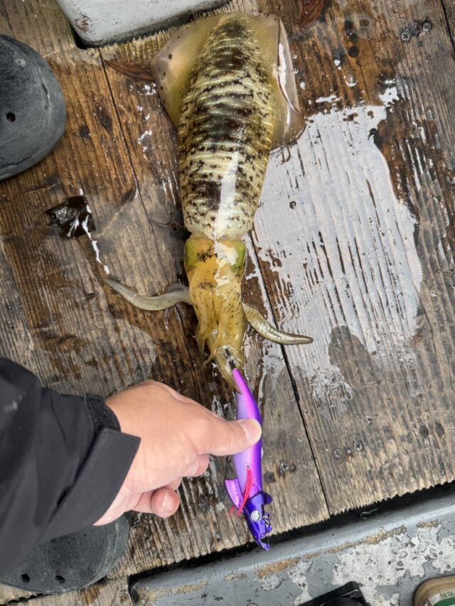 HGmwrM_Dgpc5UgV5zowox2wvrnZ-mgC7sfAOTjtpxji52oB6B6qvR9hvndUEu0mZR4NfFtsVtFhVyRlnsyhhRRQsurmhWDzkSK-N9Jt1FpLXNQMqVJRm6OnEfOVLTPQGr6fRbKROf4YksHppMo5QDQ==