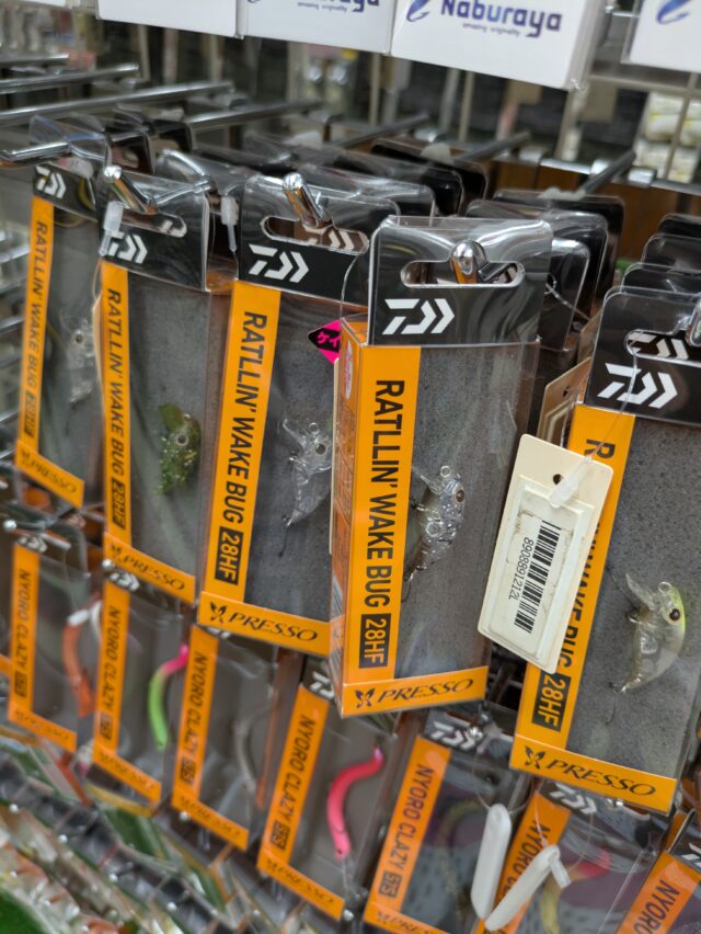 PXL_20250925_041640042