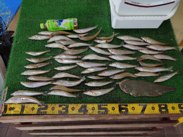 RTBnnwnePC-sxp6KBcM7J2eyzAzcVibjuSn5b4-WEnbMSaMiY2KdwsZftCh228hpCgYCynAdlTmot2rFqa9ddZqEztsAlsK_hKHAdEqnBGEWzeNkMDL7PkQcZKQ4DfAy6jNu5bRgUMkvYKl3YQCxcw==