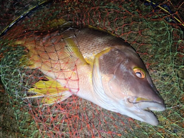 Screenshot_20250902_144649_Photos~2