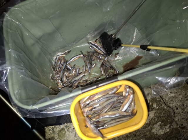 Screenshot_20250902_144706_Photos~2