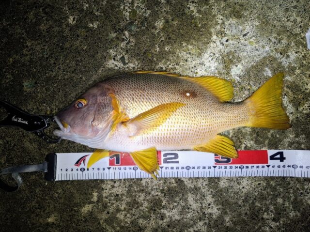 Screenshot_20250902_144710_Photos~2