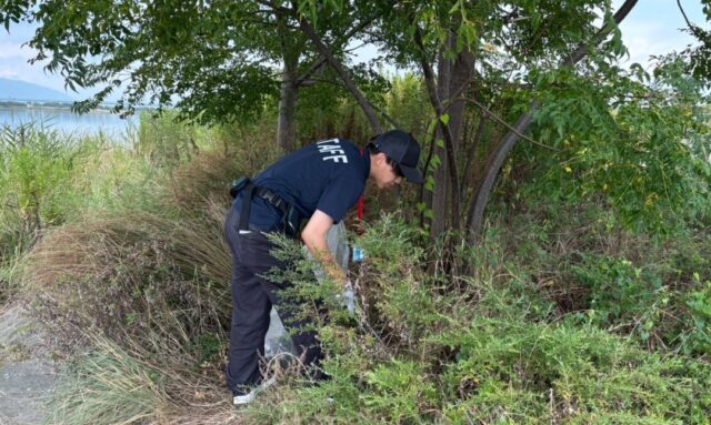 Screenshot_20250908-154352