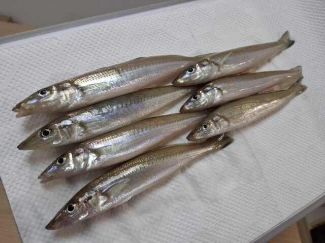 Screenshot_20250910_021220_Photos2-640x479