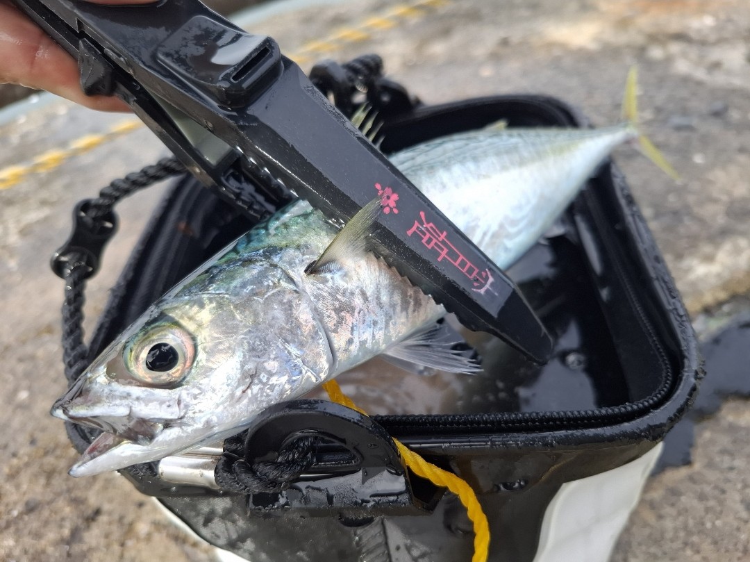 Screenshot_20250925_091030_Photos~2