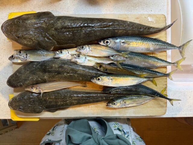 WS6KyylQW_rORx28XxcCAANopRO-ieJ7JmZ_E98nqJycd3uDgkclqAxr0Yd6-VF_L6ONUmbrbANx1uj_pl-YPXDuDqsaq6-bASsen7x9HgyOxN9NGut1YeULb66CjJ6Br6fRbKROf4Y (1)