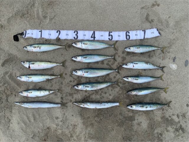 X4yK-acK6eKQIkVm51VyDlnDyU7yOvHnS3ZIgAfTHW_7TW-QV681K5n2lYJ5dLCJUNkaCA5LB9RhktAESInZpp4awB6Lowd7bZP5JbGNB0g4U_Sykqd9VKQ53JsBrUlvCPs1Dl06N9VAVlx